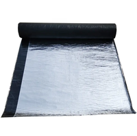 Membrane d'étanchéité bitumineuse SBS auto-adhésive Ice Water Shield 50 Mil, sous-couche de toiture, matériau de construction, membrane de toiture
