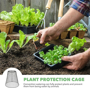 Protection de Plantes en Maille Métallique Conique pour Jardin Extérieur, Cage de Protection pour Plantes, Protège les Fleurs, les Légumes et les Jeunes Pousses Contre les Animaux - Product Image 6