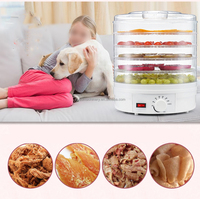 Kleine Huishoudelijke Dragon Fruit Vlees Groente Druif Kiwi Droger Machine