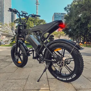 Netherlands Warehouse Ready Stock Electric Bicycle 750w 20inch Fat Tire E-bike 250w 25km/h Electric Bike Adult Fatbike