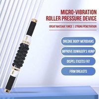 Masseur électrique portable professionnel mini 2 en 1 à micro-vibrations