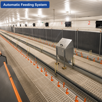 Gallinero Moderno Prefabricado con Estructura de Acero, Sistema Automático de Alimentación y Riego, a Prueba de Plagas