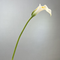 Bunga Calla Lily Buatan Tangan Sentuhan Realistis Harga Pabrik L-R659, Bunga Pernikahan Hijau untuk Dekorasi Pernikahan dan Rumah