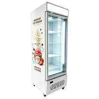 Congélateur vertical Kenkuhl SD420 à porte simple, congélateur profond vertical pour la présentation de glaces
