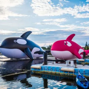 Modèle d'animal marin gonflable géant, baleine orca gonflable géante, conception gratuite, pour événement - Product Image 1