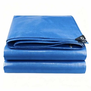 Bâche bleue 4x6 fabriquée par le fabricant de tentes Linyi, en matériau <span class=keywords><strong>plastique</strong></span> tissé PE, pour la Malaisie - Product Image 2