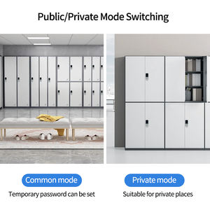Smart <strong>Small</strong> Metal Electronic Locker <strong>Lock</strong> Zinc Alloy Digital Combination Cam Steel <strong>Door</strong> Memory Card Data Storage Made China - Product Image 5