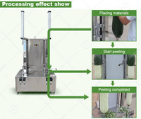 Automatische groente- en fruitwasmachine voor kokosnoot, broodvrucht, mango en ananas.