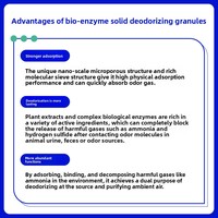 ShengAnXin Granulés désodorisants solides aux enzymes biologiques pour litière pour chat, Modèle Litter-08, Vente directe usine, Grande quantité