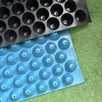 Barquettes à semis réutilisables, durables, légères et écologiques en PET (54/60/70/100) pour la culture de plantes de jardin, de légumes et de fleurs