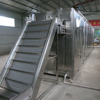 Tekfood Fruit Heteluchtdroger Machine Doorlopende Heteluchtdroger Machine 200Kg 500Kg Plantaardige Heteluchtgaasband Droogmachine