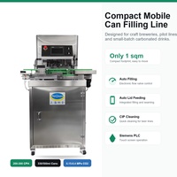 Petite machine de scellage automatique en acier inoxydable pour canettes de bière, eau pure, lait, boissons gazeuses, 200-300 CPH, contrôle PLC, ligne CE