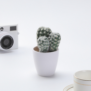 Decorazione per Tavolo da Soggiorno Fiori Artificiali all'Ingrosso <span class=keywords><strong>Cactus</strong></span> e Succulente Finti per Esterni - Product Image 5