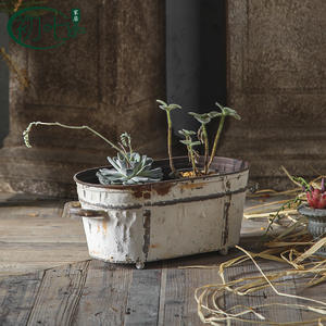Ensemble de pots à fleurs en fer vieilli pour la décoration de la maison et du jardin, style européen, avec plantes succulentes - Product Image 2