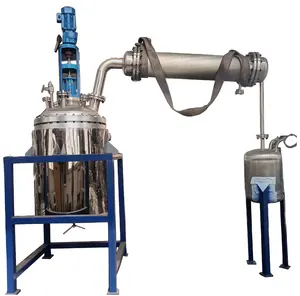 100 ~ 500L Chất Thải Liên Tục Lốp Nhựa Pyrolysis Thực Vật