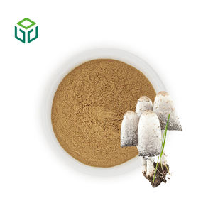 Polvere di Polisaccaridi di Fungo Ink Cap di Alta Qualità, Estratto di <span class=keywords><strong>Coprinus</strong></span> Comatus, Integratori Alimentari di Grado Alimentare - Product Image 1