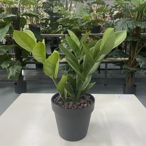 Piccola foglia artificiale di Zamioculcas Zamiifolia Bonsai per decorazione da tavola prodotto vegetale di qualità Premium - Product Image 3