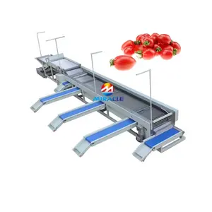 Industriële Zoete Aardappel Cherry Tomaat Sorteermachine Fruit En Groente Sorteermachine Te Koop