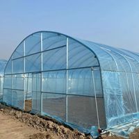 Serre tunnel monocouche en film plastique pour petit jardin potager, kit complet avec système hydroponique pour l'agriculture