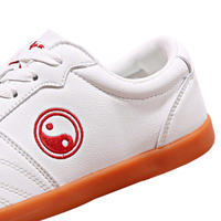 Nouvelles baskets de Wushu tendance pour hommes, chaussures de sport de Kungfu chinois, Taichi, arts martiaux, semelle en plastique, printemps automne, chaussures de course