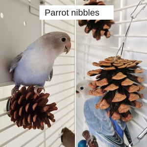 Juguete Redondo Ecológico de Peonía Xuan Feng para Loros, para Morder y Afilar los Dientes en Jaulas, Piñas y Puntas Colgantes, Suministros para Aves - Product Image 2