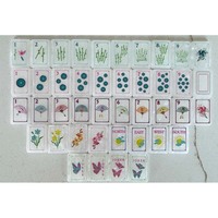 Juego de Mahjong Americano de Acrílico de Una Sola Capa con Diseño Floral de Mariposas, Elegante, para Regalo y Entretenimiento