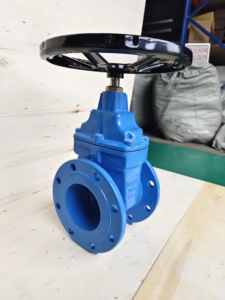Vanne à opercule à siège élastique en fonte ductile Ggg50 DN125 DIN3352 F4 PN10 PN16 PN25 - Product Image 3