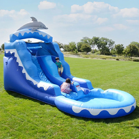 Structure gonflable géante d'extérieur de 20 pieds en PVC, thème palmier, avec toboggan aquatique commercial et piscine, pour usage humide et sec, pour enfants et adultes