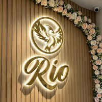 Enseigne 3D personnalisée en acier inoxydable doré, lettres lumineuses LED, logo éclairé par halo pour affichage intérieur de salon de beauté et spa