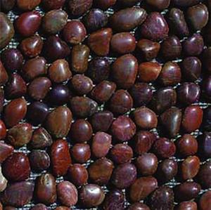 Натуральный галька гранит Cobble Crazy <span class=keywords><strong>Mosaic</strong></span> шаблон для сада или парка проектов - Product Image 3