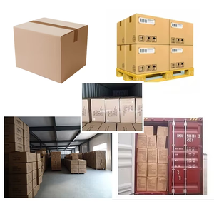 Calzado Casual para Hombre de Último Diseño y Alta Calidad en Oferta - Product Image 4