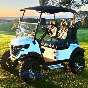 Voiturette de golf électrique tout-terrain en acier métallique bleue avec semi-toit, véhicule de tourisme pour parcs, batterie lithium/plomb-acide - Product Image 3