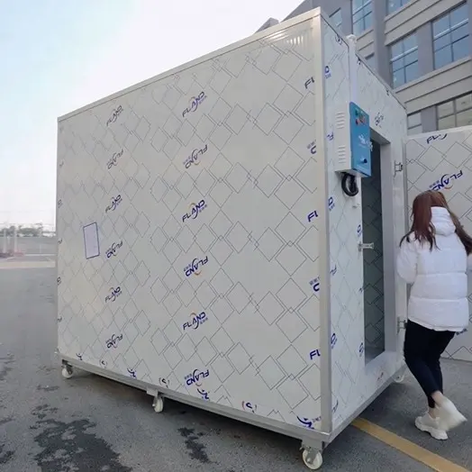 Durable 380V Quick Freezing Size Customized 20ft Container Cold Storage Room
