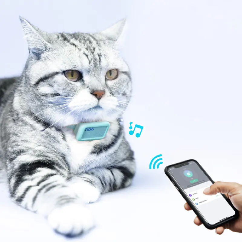 Groothandel Hond Kraag Innovatie Huisdier Accessoires Huisdier Locator Kraag Smart Apparaat Anti-Verliezen Locator Voor Huisdier Katten Gps Trackers