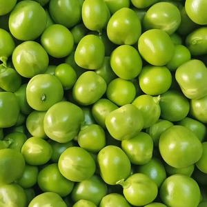 Haricots verts sucrés congelés IQF de haute qualité Produit d'exportation en gros à <span class=keywords><strong>prix</strong></span> compétitif - Product Image 6
