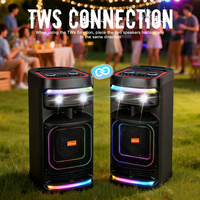 Machine de karaoké portable avec écran de 8 pouces, haut-parleur de fête, double micro sans fil, Bluetooth TWS, USB, TF, FM, AUX, télécommande, pour mariage