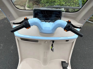 Nouveau modèle de mini-tricycle électrique fermé à 3 places, batterie au plomb-acide ou au lithium, scooter de mobilité à trois roues >1000W 400kg sans balais - Product Image 4