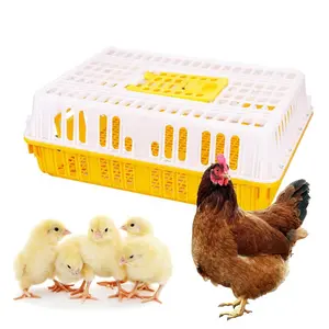 Cages solides en plastique en option de taille d'usine chinoise pour transporter des poulets vivants