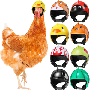 Casco para gallinas <span class=keywords><strong>de</strong></span> granja, protección solar y contra la lluvia, sombrero lindo para gallinas, equipo <span class=keywords><strong>de</strong></span> protección para gallineros al aire libre, divertido para gallos <span class=keywords><strong>de</strong></span> pelea - Product Image 1