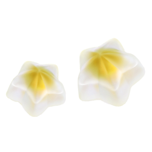 Suplemen Makanan Permen Jeli Isi Minyak Alga DHA Pektin OEM ODM - Product Image 5