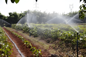 Bomba de agua de energía solar de 72V CC bomba de pozo profundo solar sumergible en Pakistán - Product Image 6