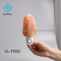 Lampe de Sel de Cristal de l'Himalaya avec Prise, Veilleuse Murale en Sel de Pierre, Certifiée ETL UKCA CE ROHS pour Chambre et Décoration Intérieure