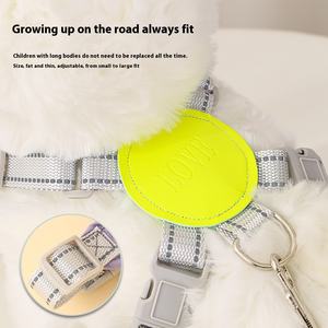 Mode Polyester Kattenhondenuitlaatlijn Kleine Hondenbenodigdheden Hondenriem Harnas Set 2 Delige Set - Product Image 5