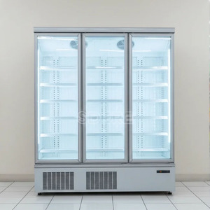 Réfrigérateur Commercial Vertical à Porte Vitrée pour Boissons, Prix Usine, Réfrigérateur-Vitrine, Congélateur DDU1820F3 Smal - Product Image 5