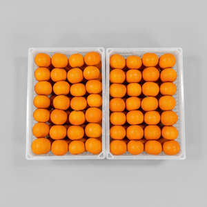 Naranja Navel Premium, Cítrico Dulce y Fresco, Fruta Natural Saludable y Jugosa, Cosecha de Huerto, Proveedor Mayorista de Exportación - Product Image 4
