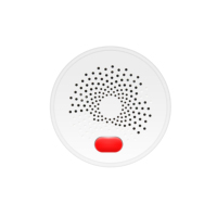 Surveillance intelligente du gaz électrique, détection en temps réel, commande vocale, protégez votre maison, compatible Tuya Zigbee, Alexa Google Hotel