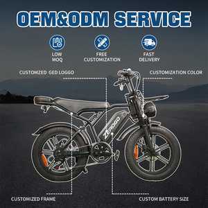 Venta de Fábrica Bicicleta Eléctrica Eu Wh V8 con Frenos Hidráulicos, 250w 15ah, Largo Alcance, Neumáticos Anchos, Motor Trasero R002, Neumático V20 2025, Aus R002 M - Product Image 2