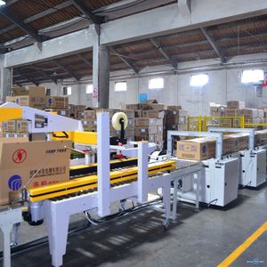 Ligne d'emballage automatisée personnalisée 1180*65*77 entièrement automatique pour utilisation en intérieur, pour le tri, l'emballage, l'étiquetage et la palettisation des produits - Product Image 2