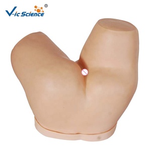 <span class=keywords><strong>Simulador</strong></span> <span class=keywords><strong>de</strong></span> Enema para Maniquí <span class=keywords><strong>de</strong></span> Enfermería, Modelo <span class=keywords><strong>de</strong></span> Enema, <span class=keywords><strong>Simulador</strong></span> <span class=keywords><strong>de</strong></span> Administración <span class=keywords><strong>de</strong></span> Enema, Modelo <span class=keywords><strong>de</strong></span> Educación en Ciencias Médicas - Product Image 2