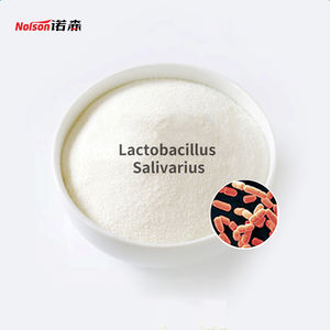 Настраиваемый порошок пробиотиков Lactobacillus Salivarius противоаллергический и аллергический, предотвращающий белый внешний вид - Product Image 1